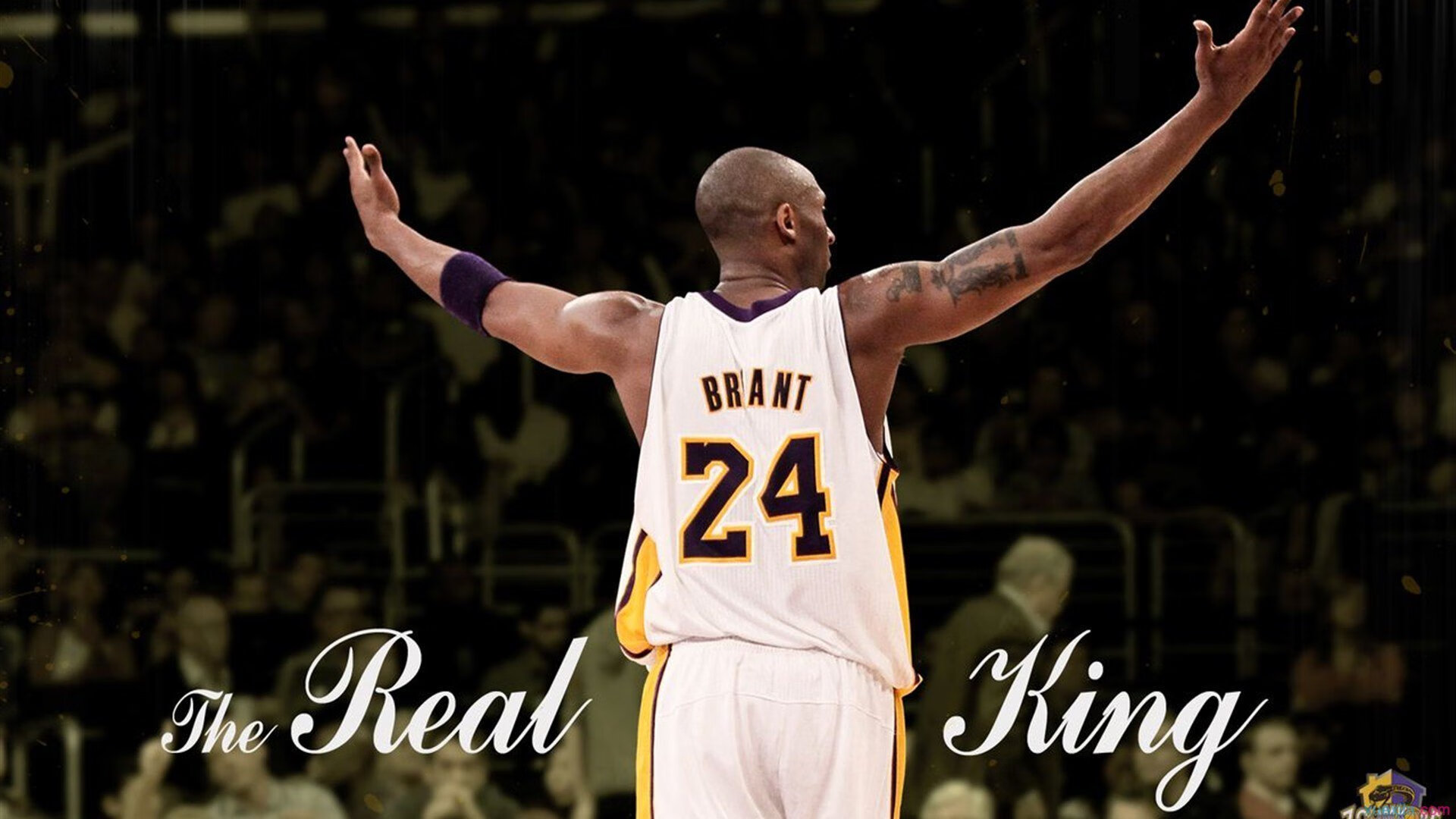 《电竞新规发布：行业规范促发展》，电竞条例